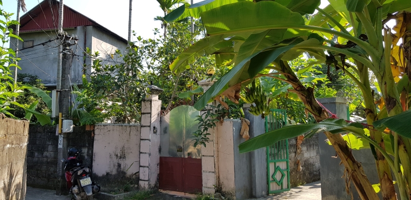 Gia đình tạm  thời chưa sử dụng cho thuê nhà vườn tại thôn 8 Hoa Động