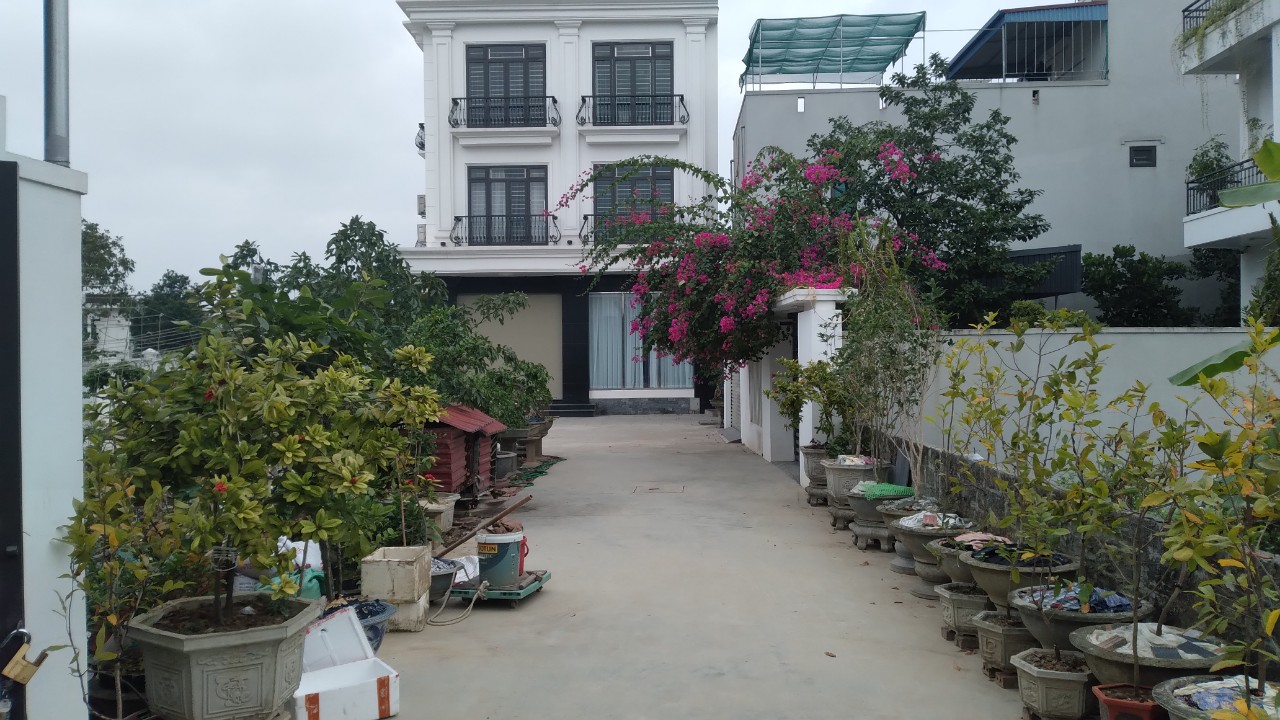 Mở bán lô đất 100m2 ngày gần dự án Hoàng Huy tại Hoa Động, Thuỷ Nguyên, Hải Phòng