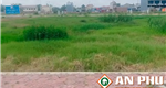 Bán lô đất khu phân lô đấu giá Khau Da, Thủy Sơn