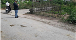 Bán lô đát ngay mặt đường liên thôn Hoa Động, Thuỷ Nguyên, Hải Phòng