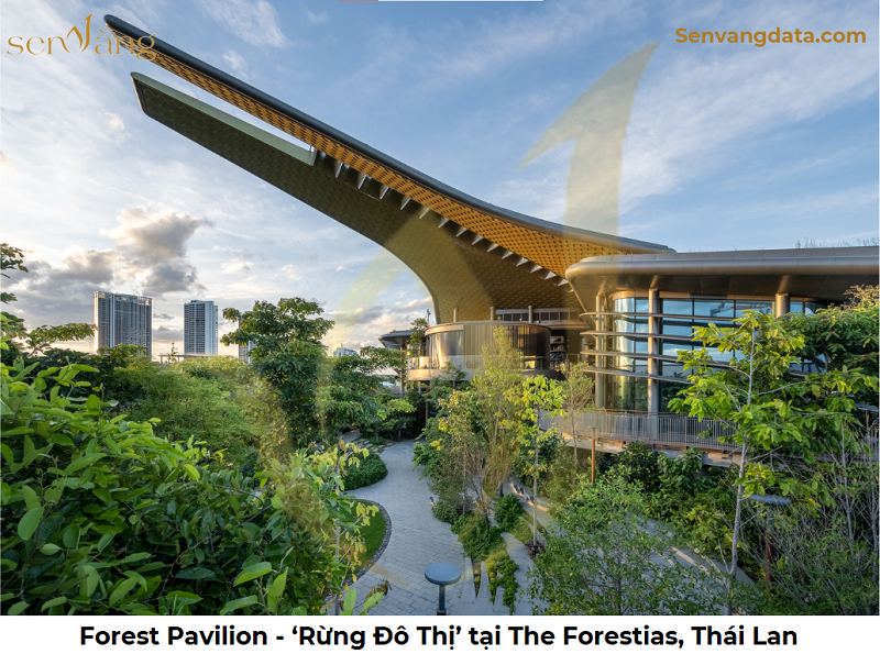 8 sai lầm khiến chủ đầu tư vừa lãng phí tiền, vừa phát triển sai concept sản phẩm khu đô thị