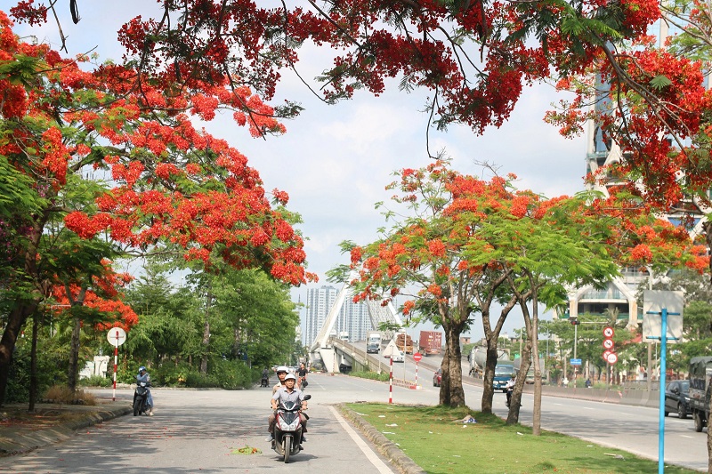 Hải Phòng mới 2035: Bứt phá từ Du lịch – Cảng biển – Công nghiệp - Ảnh 3