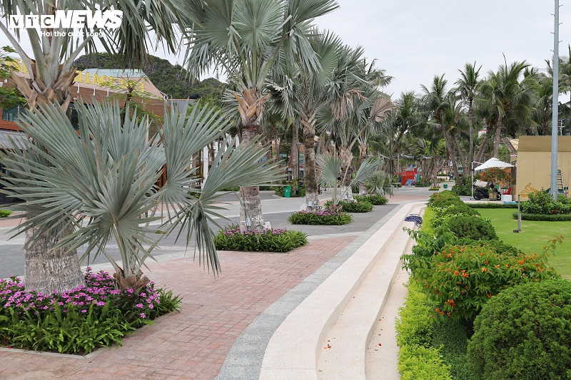 Diện mạo Thành phố Vịnh trung tâm Xanh Island tại Hải Phòng sau 2 năm thi công - 12