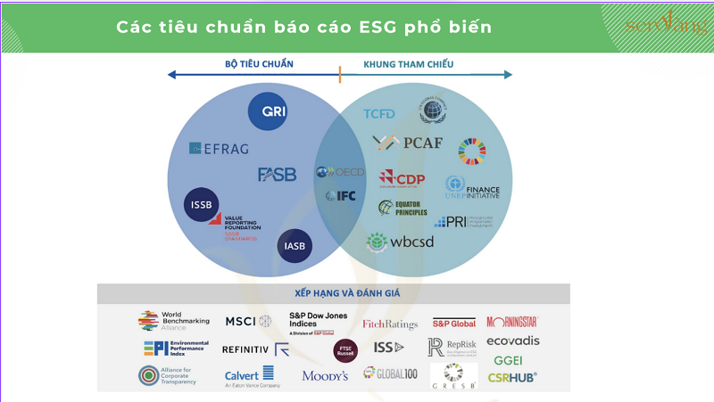 Các khung báo cáo ESG phổ biến tại Việt Nam và hướng dẫn các bước triển khai