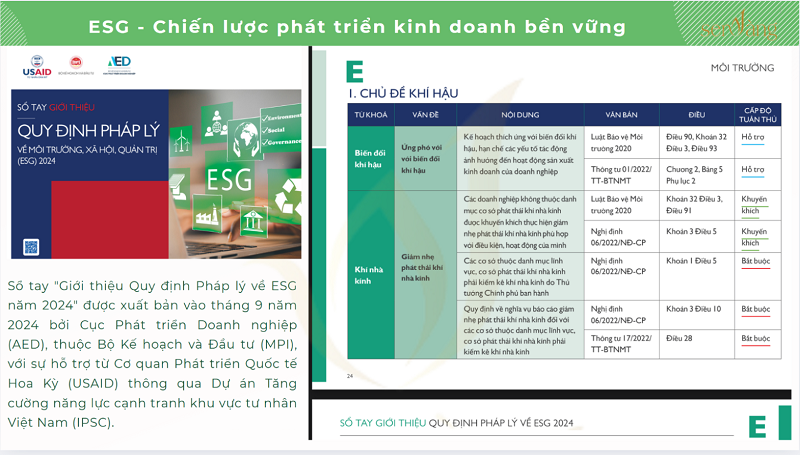 Các khung báo cáo ESG phổ biến tại Việt Nam và hướng dẫn các bước triển khai