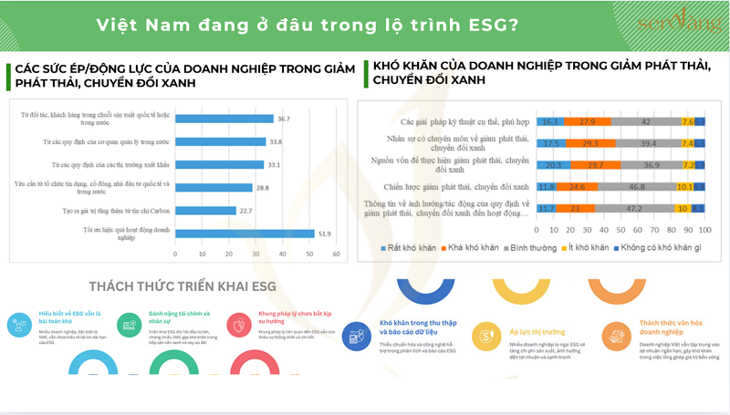 Các khung báo cáo ESG phổ biến tại Việt Nam và hướng dẫn các bước triển khai