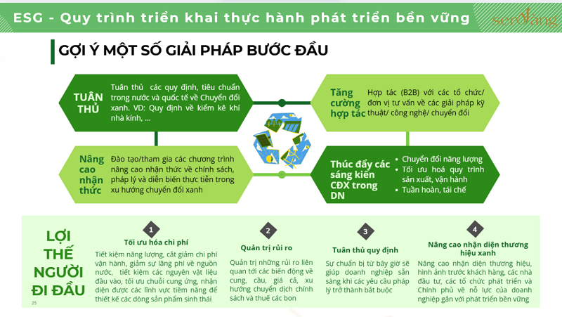 Các khung báo cáo ESG phổ biến tại Việt Nam và hướng dẫn các bước triển khai