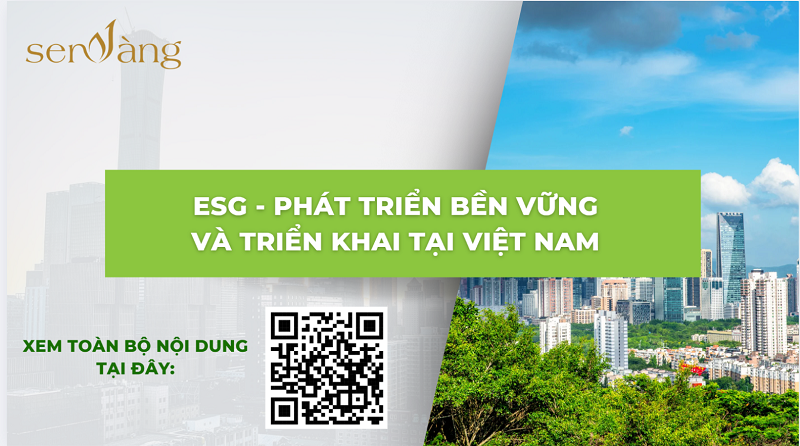 Các khung báo cáo ESG phổ biến tại Việt Nam và hướng dẫn các bước triển khai