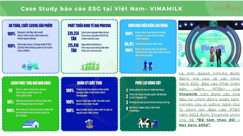 Các khung báo cáo ESG phổ biến tại Việt Nam và hướng dẫn các bước triển khai