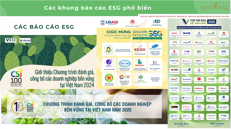 Các khung báo cáo ESG phổ biến tại Việt Nam và hướng dẫn các bước triển khai