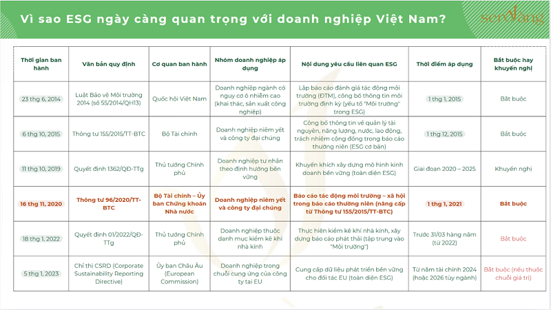 Các khung báo cáo ESG phổ biến tại Việt Nam và hướng dẫn các bước triển khai