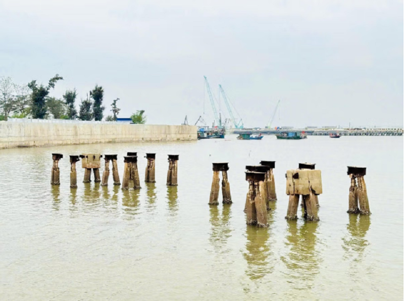 Hạng mục thi công tu bổ bãi cọc, dự kiến hoàn thành 31/3/2026. Ảnh: PT.&nbsp;