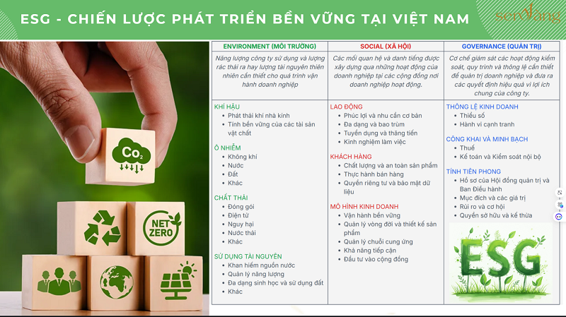 08 Lợi Ích Khi Doanh Nghiệp Bất Động Sản Xây Dựng và Triển Khai Báo Cáo ESG – Phát Triển Bền Vững