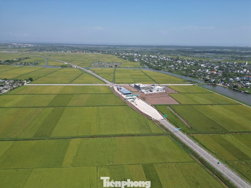 Công trình còn đi qua nhiều cánh đồng lúa của các tỉnh Hưng Yên và Ninh Bình; hiện những cánh đồng này đang vào vụ lúa chín. tp-5.jpg