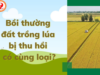 Thu hồi đất trồng lúa thì có được bồi thường cùng loại đất để tiếp tục canh tác?