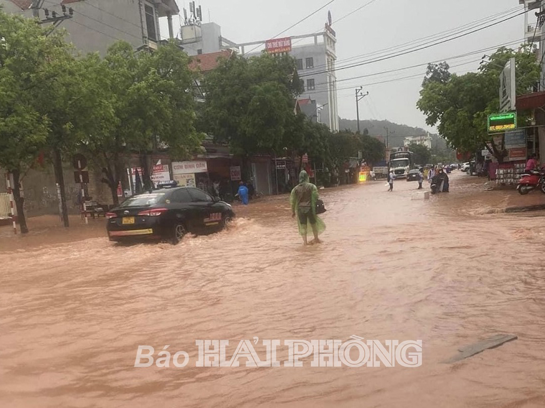 Huyện Thủy Nguyên: Kiến nghị Sở Giao thông Vận tải sớm cho ý kiến về tình trạng ngập úng trên địa bàn huyện