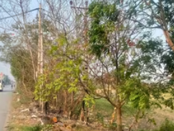 Hải Phòng: Giao hơn 100.000m2 đất cho Công ty cổ phần tập đoàn đầu tư Tây Bắc để thực hiện dự án