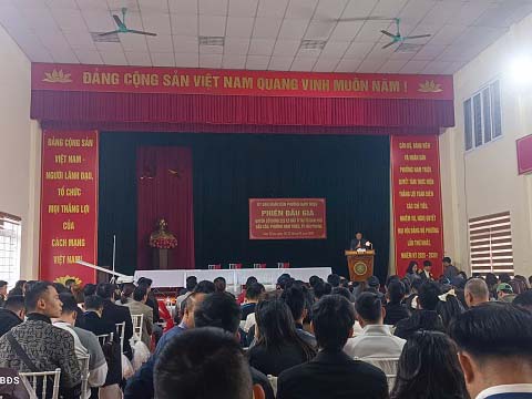 Kết quả trúng đấu giá 223 lô đất tại Tổ dân phố Đầu Cầu, phường Nam Triệu, thành phố Hải Phòng tháng 1 năm 2026