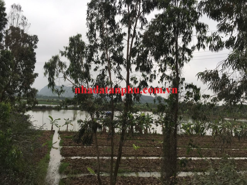 Cần bán lô đất nuôi trồng thuỷ sản 2,2 ha tại Gia Minh, Thủy Nguyên