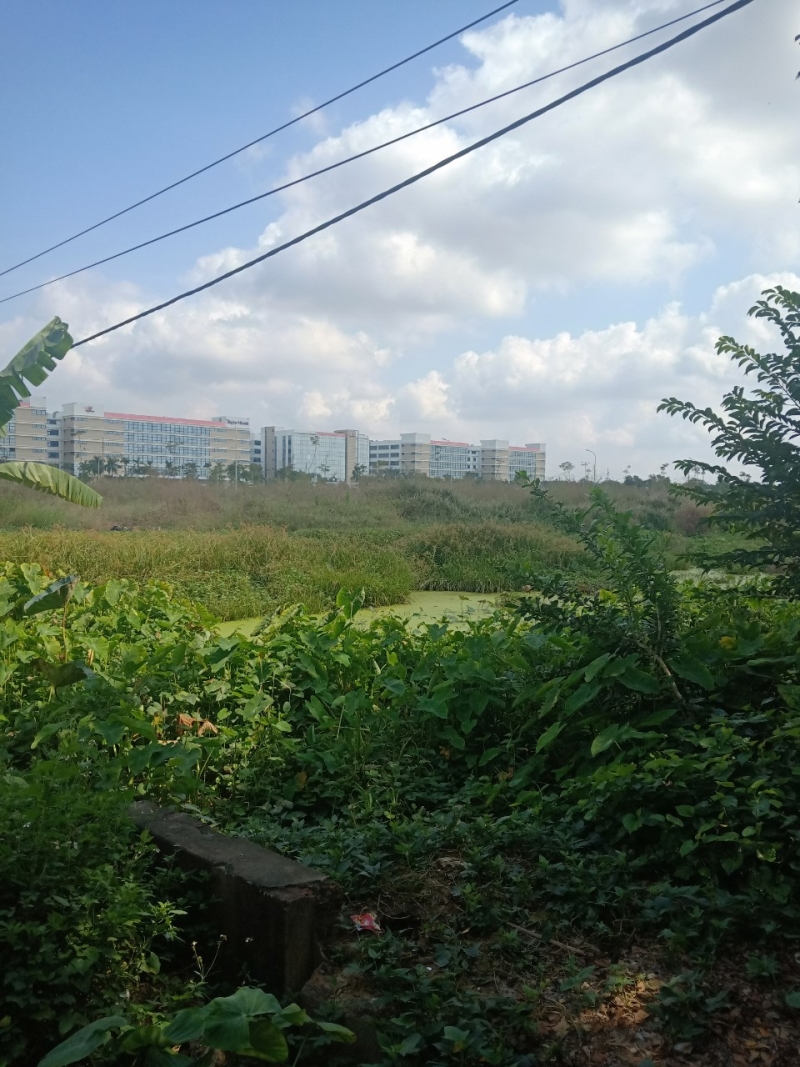 Bán đất tại thôn Bấc Vang  Dương Quan Thủy Nguyên 125m2