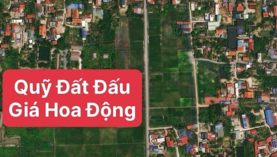Bán đất mặt đường thôn Bái Trong, Hoa Động, Thuỷ Nguyên, Hải Phòng