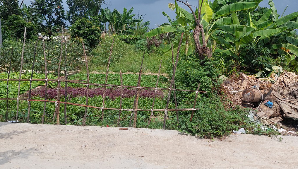 Mở bán lô đất Hoa Động, Thuỷ Nguyên, Hải Phòng