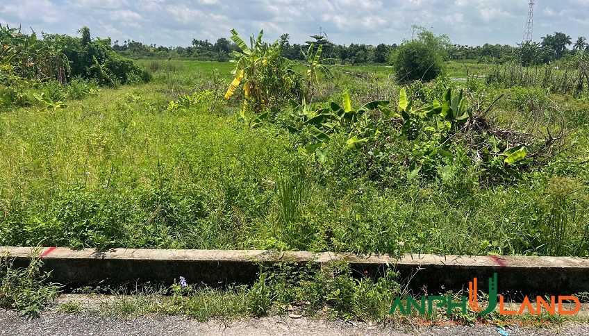 Cần bán lô đất mặt đường thôn Đền, Lâm Động, Thuỷ Nguyên, Hải Phòng