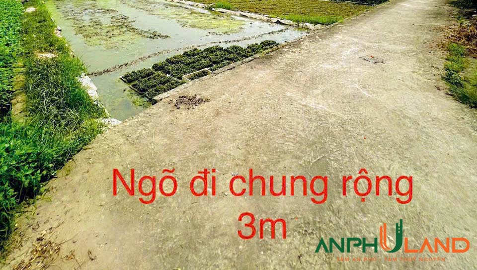 Chính chủ cần chuyển nhượng lô đất thôn Đầm Đền, Hoa Động, Thuỷ Nguyên, Hải Phòng