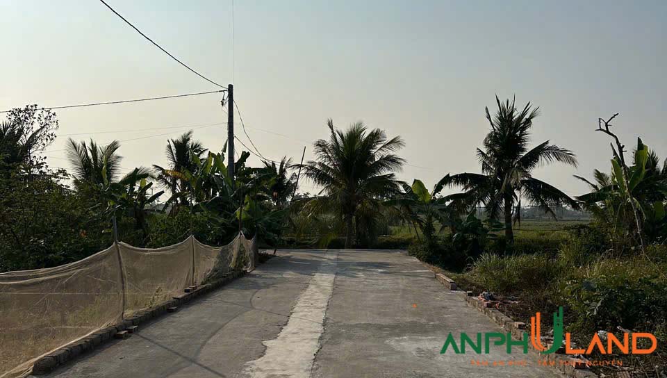 Cần bán siêu phẩm đường to như sân bay tại Lâm Động, Thuỷ Nguyên, Hải Phòng 