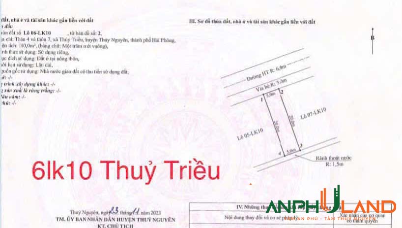 Bán cặp song sinh tại Đấu giá Thuỷ Triều, Thuỷ Nguyên, Hải Phòng 