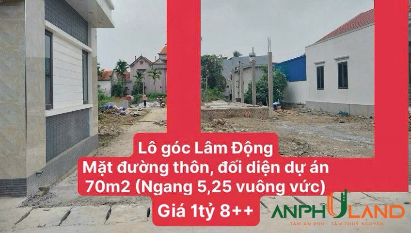 Chính chủ gửi bán lô góc mặt đường thôn, Phường Hoàng Lâm (xã Lâm Động), TP Thủy Nguyên