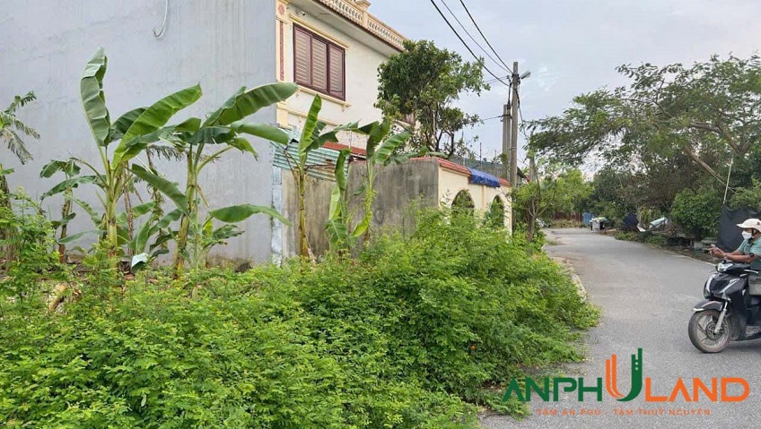 Chào bán 200m2 khu Đầm Tràng, phường Dương Quan (xã Tân Dương ), TP Thủy Nguyên