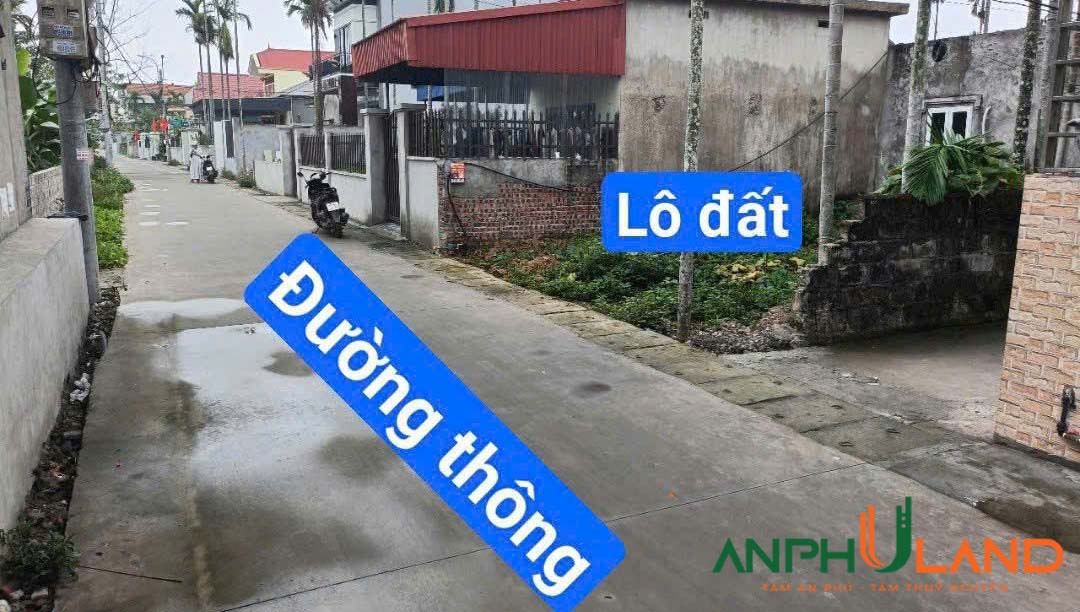 Bán lô đất đẹp tại TDP Đền, phường Hoàng Lâm, TP Thuỷ Nguyên, Hải Phòng