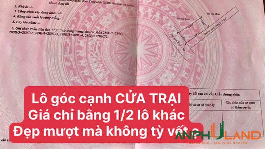 Cần bán siêu phẩm lô góc cạnh dự án Cửa Trại, Phường Thủy Đường, TP Thủy Nguyên