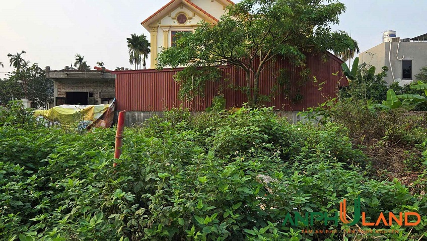 Cần bán lô đất siêu phẩm đường nhựa tại Phường Hoàng Lâm, TP Thủy Nguyên, Hải Phòng