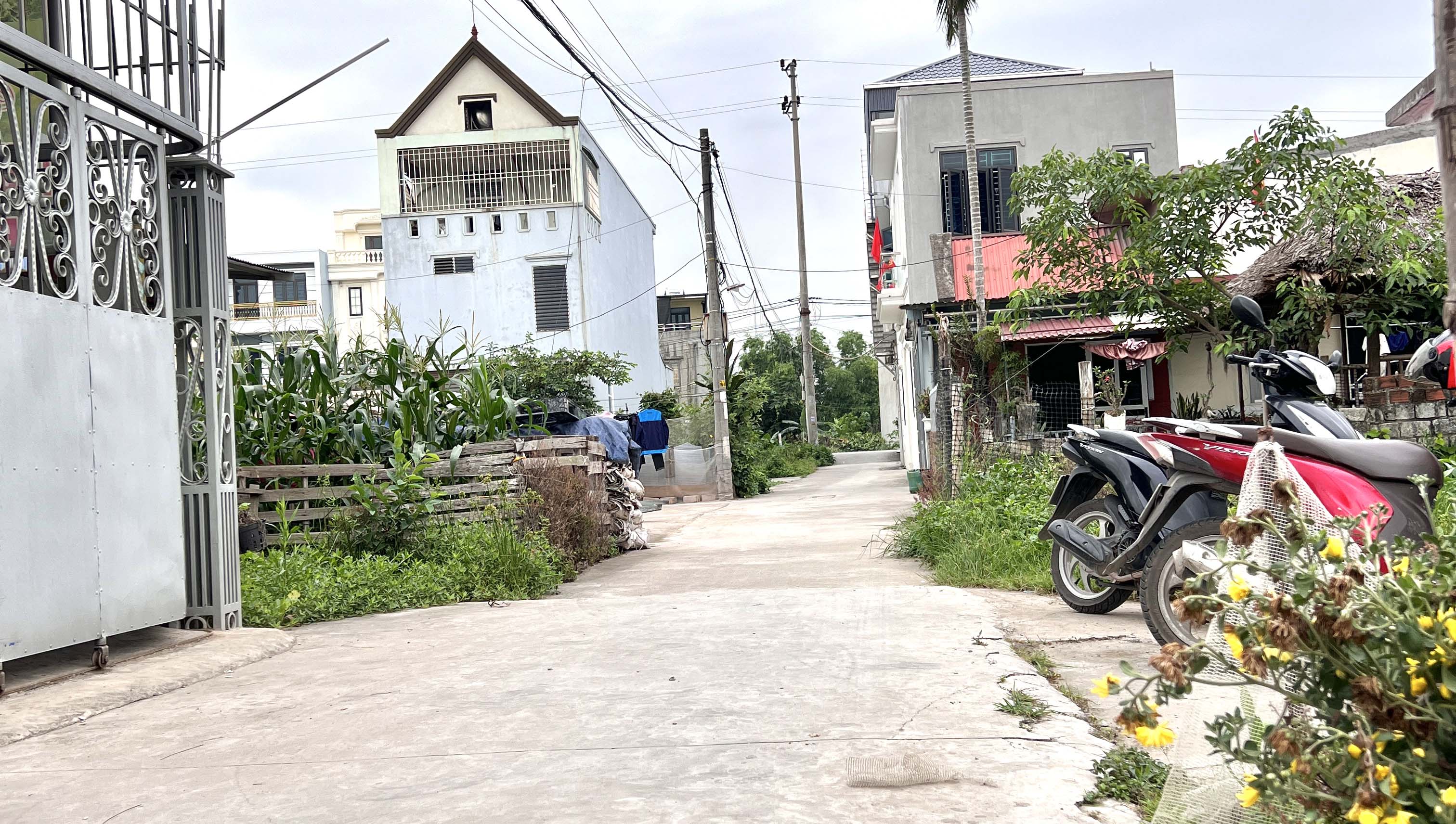 Bán lô đất nằm giữa Hoàng Huy và Doji phường Hoa Động, TP Thuỷ Nguyên, Hải Phòng