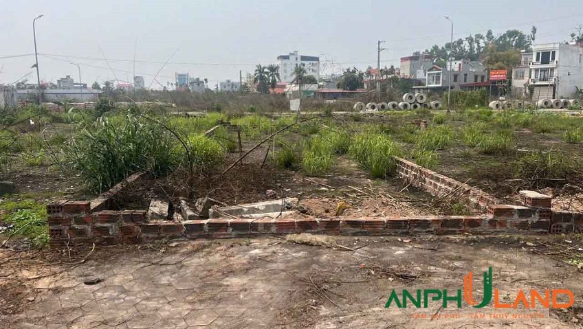 Cần bán lô đất khu dự án Cửa Trại, Phường Thủy Đường, TP Thủy Nguyên, Hải Phòng