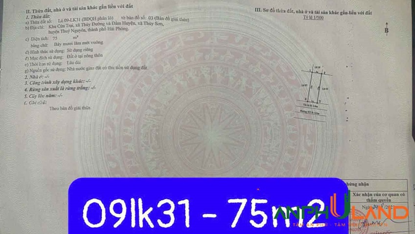 Cần bán cặp anh em sinh đôi tại khu đấu giá dự án Cửa Trại, Phường Thủy Đường, TP Thủy Nguyên
