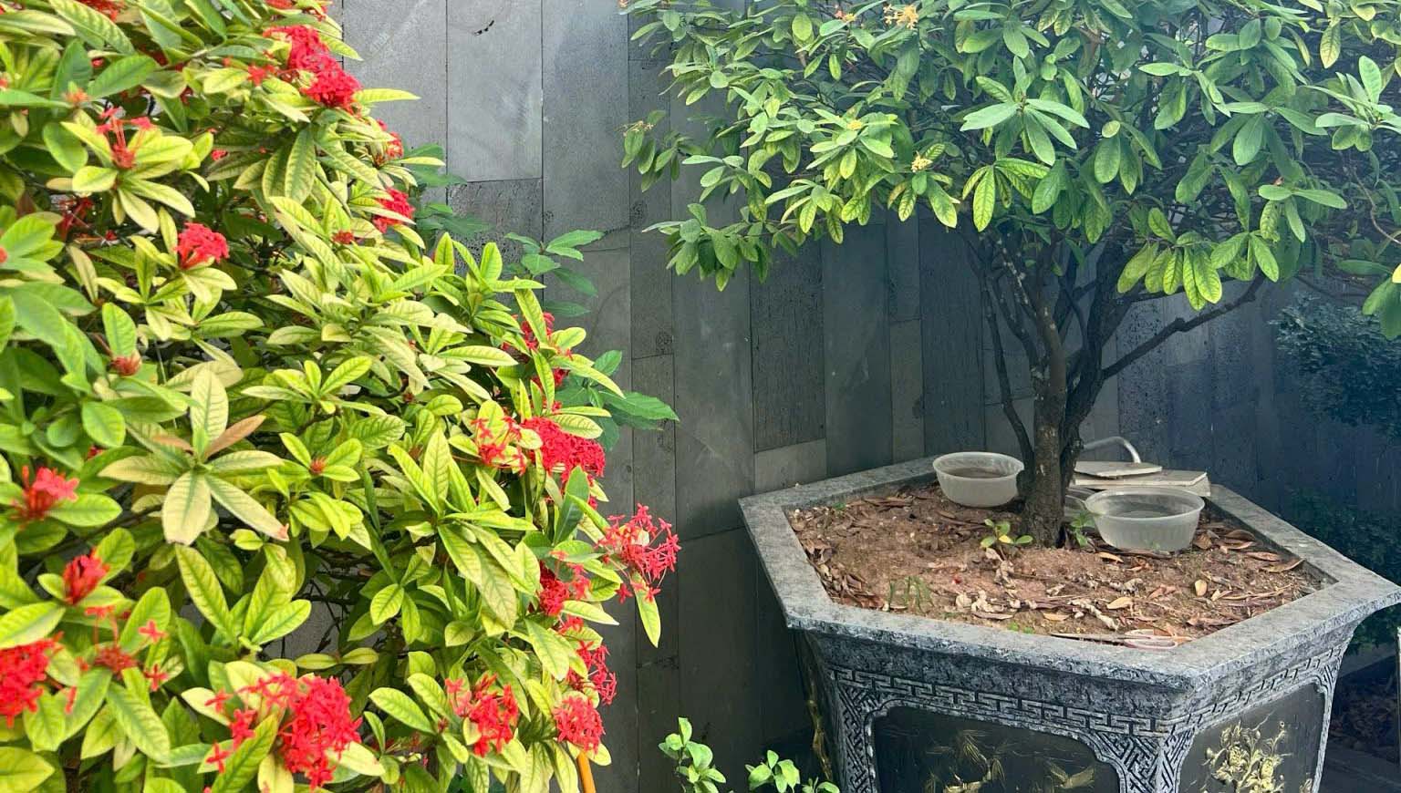 Bán nhà 71m2 x 3 tầng mẫu biệt thự  tại Cách Hạ, Nam Sơn, An Dương, Hải Phòng