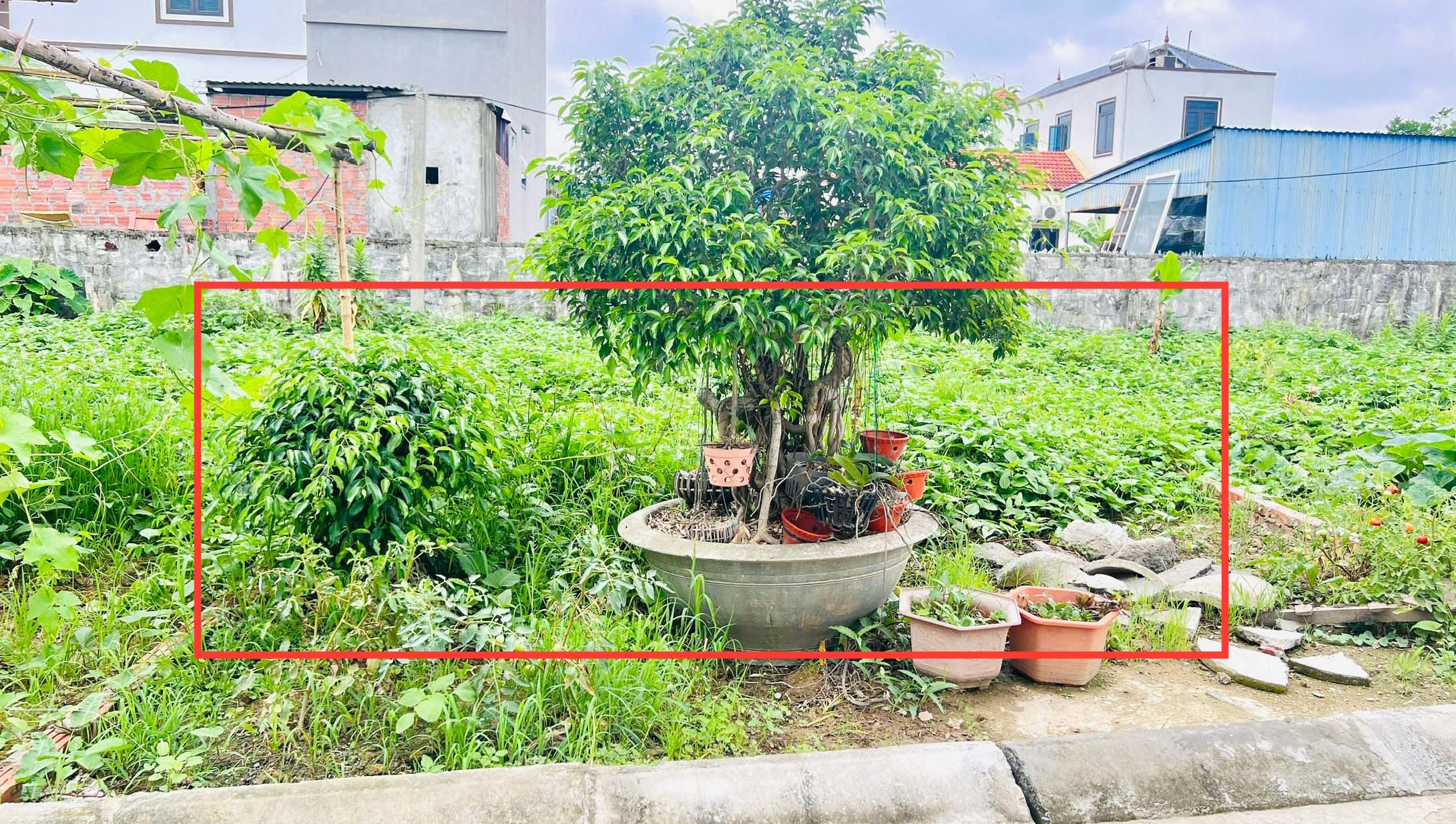 Bán lô đất phường Dương Quan, TP Thuỷ nguyên, Hải Phòng