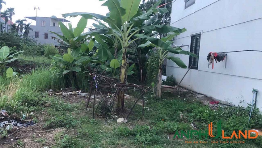 Cần bán lô đất siêu đẹp tại TDP Đường Đá, Phường Hoa Động, TP Thủy Nguyên, Hải Phòng