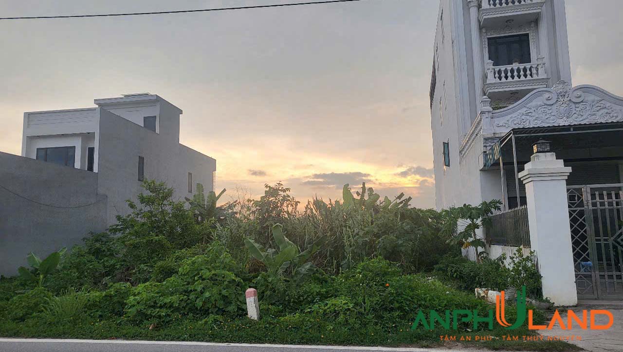 Chính chủ gửi bán 2 lô liền kề mặt đường 203 phường Hoàng Lâm (Lâm Động), TP Thuỷ Nguyên, Hải Phòng