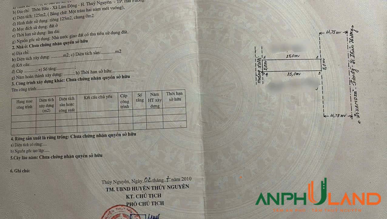 Chính chủ gửi bán 2 lô liền kề mặt đường 203 phường Hoàng Lâm (Lâm Động), TP Thuỷ Nguyên, Hải Phòng