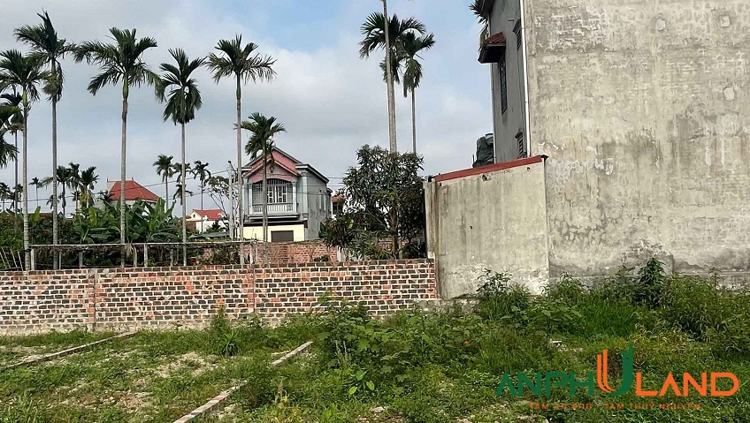 Cần bán lô đất đẹp phường Hoàng Lâm ( xã Lâm Động ), TP Thủy Nguyên, Hải Phòng