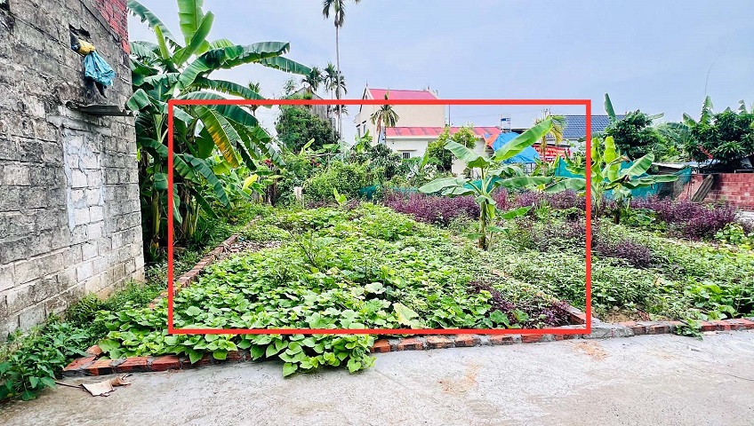 Bán lô đất phường Hoa Động, TP Thuỷ Nguyên, Hải Phòng
