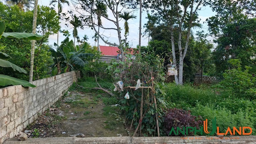 Bán nhanh lô đất TDP Đền, phường Hoa Động, TP Thủy Nguyên, Hải Phòng
