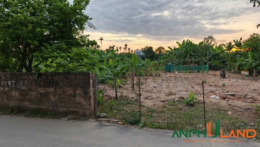 Bán lô đất siêu đẹp tại phường Hoa Động, TP Thuỷ Nguyên, Hải Phòng