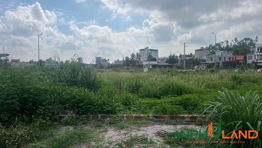 Duy nhất 1 lô hướng Đông Khu Cửa Trại, phường Thuỷ Đường, TP Thuỷ Nguyên, Hải Phòng