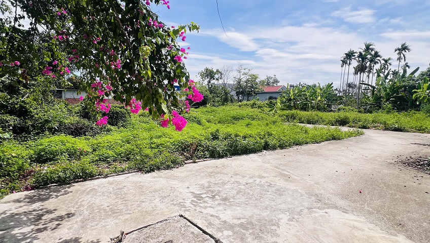Bán lô góc trung tâm phường Hoàng Lâm, TP Thuỷ Nguyên, Hải Phòng