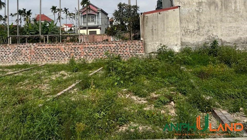 Bán lô đất cực đẹp tại phường Hoàng Lâm, TP Thuỷ Nguyên, Hải Phòng